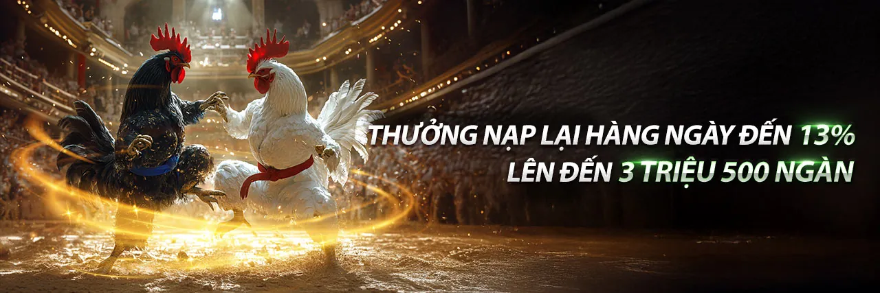 Sảnh đá gà 888 trực tuyến với những trận đấu sôi động